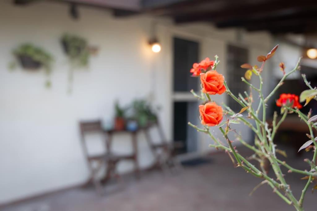 Casa Dantemini Casa Fiera Di Piana Del Solerm Fiumicino * Roma